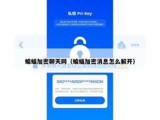 蝙蝠加密聊天网（蝙蝠加密消息怎么解开）