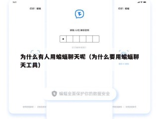 为什么有人用蝙蝠聊天呢（为什么要用蝙蝠聊天工具）
