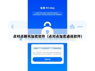 点对点聊天加密软件（点对点加密通讯软件）
