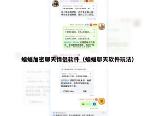 蝙蝠加密聊天情侣软件（蝙蝠聊天软件玩法）