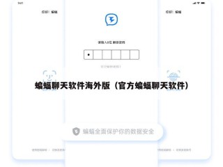 蝙蝠聊天软件海外版（官方蝙蝠聊天软件）