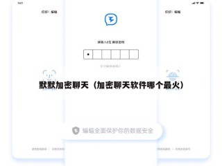 默默加密聊天（加密聊天软件哪个最火）
