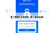 萝卜密聊什么开发的（萝卜蜜怎么做）