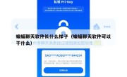蝙蝠聊天软件长什么样子（蝙蝠聊天软件可以干什么）