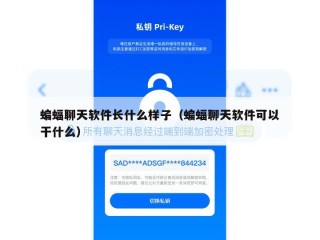 蝙蝠聊天软件长什么样子（蝙蝠聊天软件可以干什么）