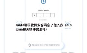 mata聊天软件安全码忘了怎么办（eingma聊天软件安全吗）