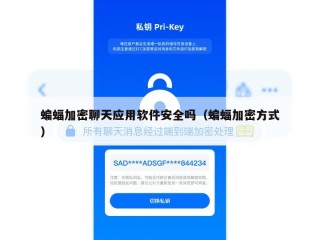 蝙蝠加密聊天应用软件安全吗（蝙蝠加密方式）
