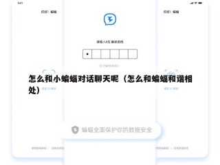 怎么和小蝙蝠对话聊天呢（怎么和蝙蝠和谐相处）