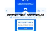 蝙蝠聊天是那个国家的（蝙蝠聊天是什么东西）