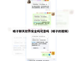 哨子聊天软件安全吗可靠吗（哨子的视频）