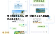 萝卜密聊怎么加入（萝卜密聊怎么加入服务器怎么注册账号）