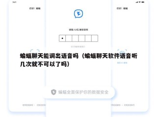 蝙蝠聊天能调出语音吗（蝙蝠聊天软件语音听几次就不可以了吗）