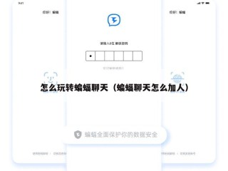 怎么玩转蝙蝠聊天（蝙蝠聊天怎么加人）
