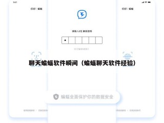 聊天蝙蝠软件瞬间（蝙蝠聊天软件经验）