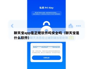 聊天宝app是正规软件吗安全吗（聊天宝是什么软件）
