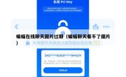 蝙蝠在线聊天图片过期（蝙蝠聊天看不了图片）