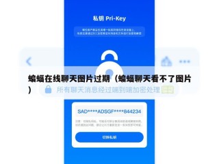 蝙蝠在线聊天图片过期（蝙蝠聊天看不了图片）