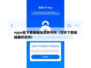 oppo能下载蝙蝠加密聊天吗（怎样下载蝙蝠聊天软件）