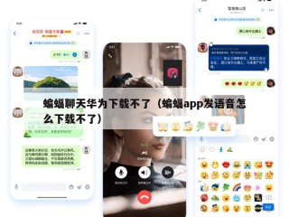 蝙蝠聊天华为下载不了（蝙蝠app发语音怎么下载不了）