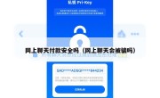 网上聊天付款安全吗（网上聊天会被骗吗）