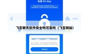 飞言聊天软件安全吗可靠吗（飞言网站）