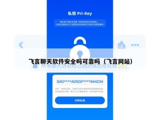 飞言聊天软件安全吗可靠吗（飞言网站）