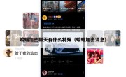 蝙蝠加密聊天有什么特殊（蝙蝠加密消息）