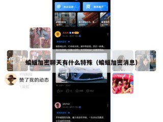 蝙蝠加密聊天有什么特殊（蝙蝠加密消息）