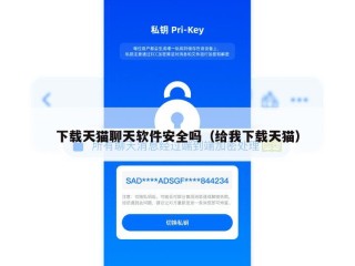 下载天猫聊天软件安全吗（给我下载天猫）