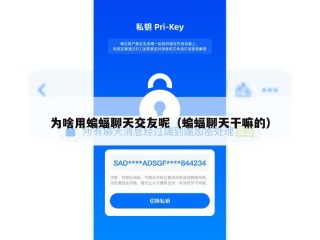 为啥用蝙蝠聊天交友呢（蝙蝠聊天干嘛的）