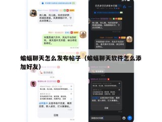 蝙蝠聊天怎么发布帖子（蝙蝠聊天软件怎么添加好友）