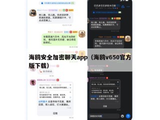 海鸥安全加密聊天app（海鸥v650官方版下载）