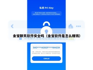 金宝聊天软件安全吗（金宝软件是怎么赚钱）