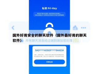 国外好用安全的聊天软件（国外最好用的聊天软件）