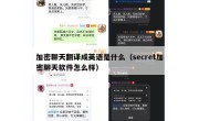 加密聊天翻译成英语是什么（secret加密聊天软件怎么样）