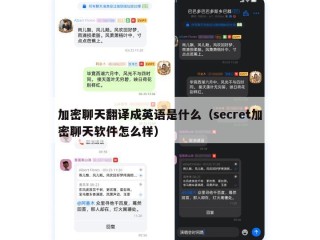 加密聊天翻译成英语是什么（secret加密聊天软件怎么样）
