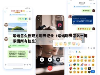 蝙蝠怎么删双方聊天记录（蝙蝠聊天怎么一键撤回所有信息）