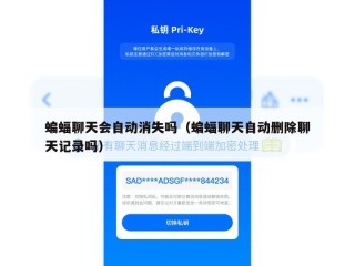 蝙蝠聊天会自动消失吗（蝙蝠聊天自动删除聊天记录吗）