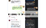 萝卜密聊投一万（萝卜密聊投一万一一）
