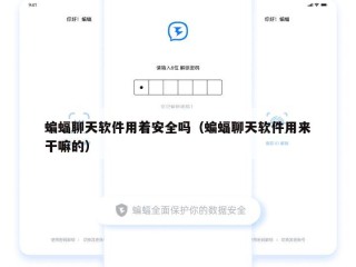 蝙蝠聊天软件用着安全吗（蝙蝠聊天软件用来干嘛的）