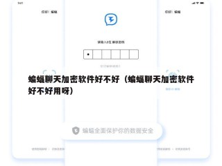 蝙蝠聊天加密软件好不好（蝙蝠聊天加密软件好不好用呀）