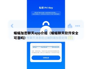 蝙蝠加密聊天app介绍（蝙蝠聊天软件安全可靠吗）