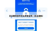 王云聊天软件怎么样安全吗（王云资料）