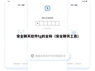 安全聊天软件tg的全称（安全聊天工具）