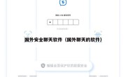 国外安全聊天软件（国外聊天的软件）