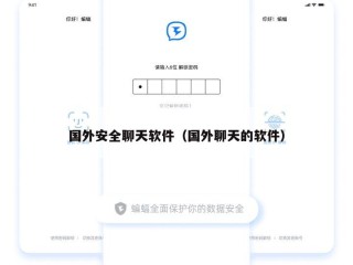 国外安全聊天软件（国外聊天的软件）