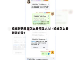 蝙蝠聊天里面怎么看陌生人id（蝙蝠怎么看聊天记录）