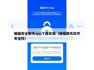 蝙蝠安全聊天app下载安装（蝙蝠聊天软件安全性）