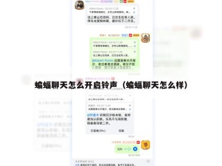 蝙蝠聊天怎么开启铃声（蝙蝠聊天怎么样）