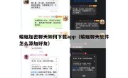 蝙蝠加密聊天如何下载app（蝙蝠聊天软件怎么添加好友）